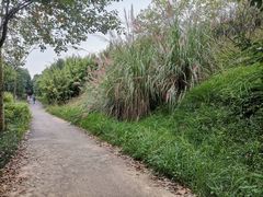 -白鹭湾湿地公园