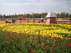 -七彩云南茶(七彩云南第壹城店)