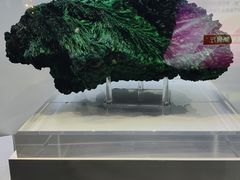 -中国地质大学逸夫博物馆