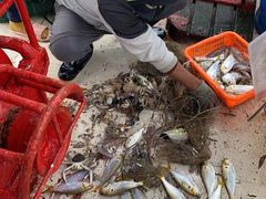 -深圳海钓·深圳钓鱼·拓展聚会鱼排