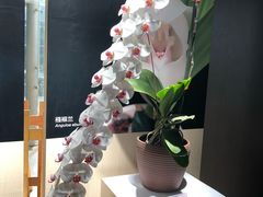 -北京植物园-展览温室