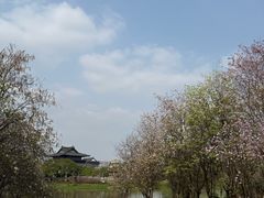 -海珠湖公园