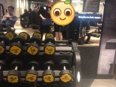 -威尔仕健身·游泳(中港汇店)
