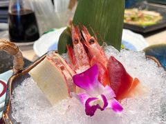 甜虾刺身-大渔铁板烧(蛇口店)