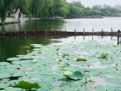 -济南大明湖景区