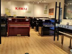 -柏斯音乐艺术中心·钢琴·吉他(世纪金源店)