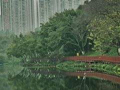 -重庆彩云湖湿地公园