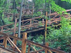 -大岭沟猕猴桃谷风景区