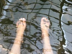 -龙达温泉生态城