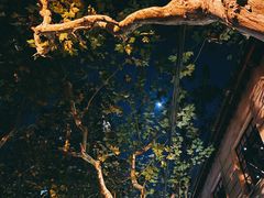 -Apollo·西班牙小酒馆(安福路店)