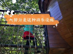 -欢乐松鼠谷
