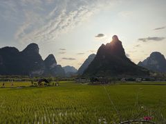 -明仕田园