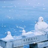 燕园初雪，还有你。