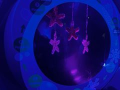 -凯莉-塔尔敦海洋生物水族馆