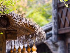 -乌镇景区