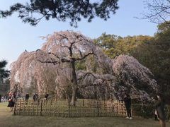 -京都御所
