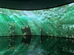 -中国湿地博物馆