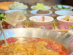 -渝大龙重庆火锅(温泉月亮湾店)