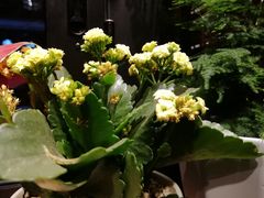 -长寿面(北京西路店)