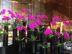 -天津君隆威斯汀酒店