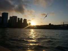 -悉尼海港大桥