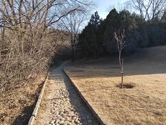 -云岗森林公园