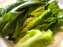 -正能量脆肉鲩火锅