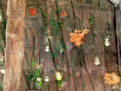 -百伦百货(简阳店)