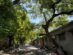 -北京国子监胡同