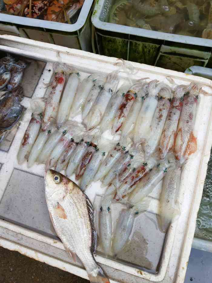 打分 今天的鱿鱼仔真的好新鲜,身上一闪一闪的才是新鲜活着的.