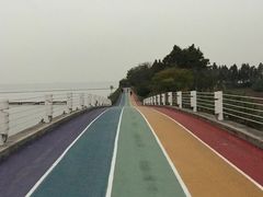 -贡湖湾湿地公园