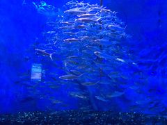 -成都浩海立方海洋公园