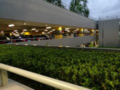 -上海虹桥国际机场1号航站楼-P2停车场