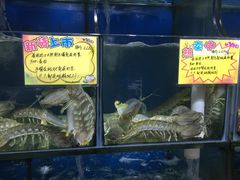 水产区-蚝专家(北滘店)