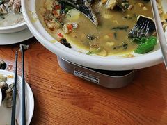 -饭怕鱼(阳光100店)