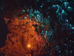 -怀托摩萤火虫洞