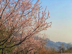 -妙峰山风景名胜区