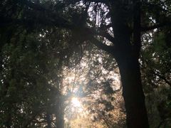 -鬼笑石后山停车场