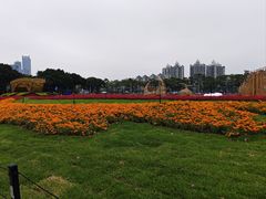 -海心沙亚运公园