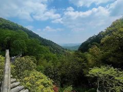 -韬光茶庵