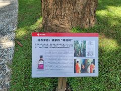 -中国科学院西双版纳热带植物园