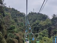 -野象谷景区
