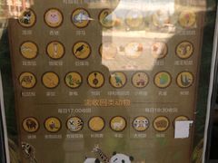 -灵玲国际马戏城