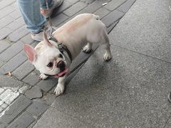 -晶牌烤鸭(延吉东路557弄小区店)