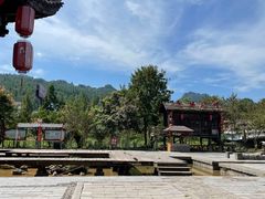 -印象鲵宴·张家界地标美食名片(溪布街店)