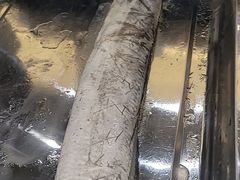 -骏莱海鲜鱼港(五角场店)
