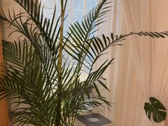 -沐森 •疗愈头疗馆(打浦桥店)