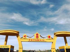 -金塔沙漠胡杨林景区