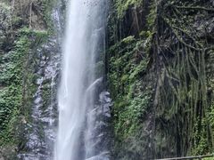 -莫里热带雨林景区