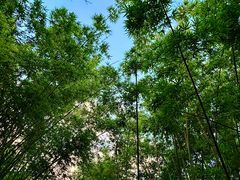 -晓港公园